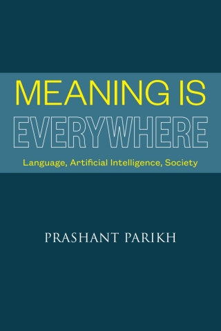 Cover image: Meaning Is Everywhere 9781647921613