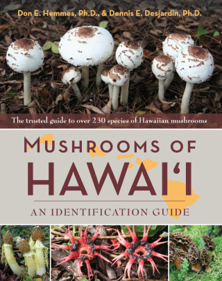 Cover image: Mushrooms of Hawai'i 9781626541825