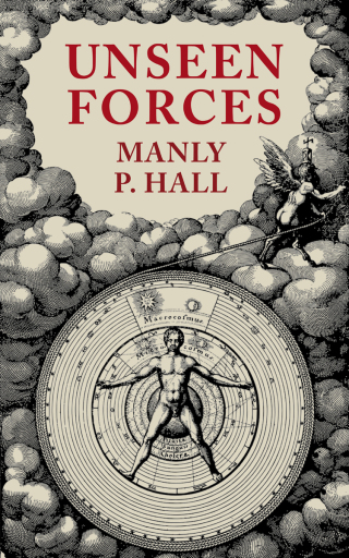 Imagen de portada: Unseen Forces 9781648373459