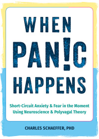 Cover image: When Panic Happens 9781648482694