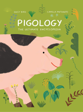 Cover image: Pigology 9781616899899
