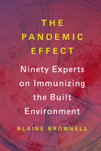 Omslagafbeelding: The Pandemic Effect 9781648961649