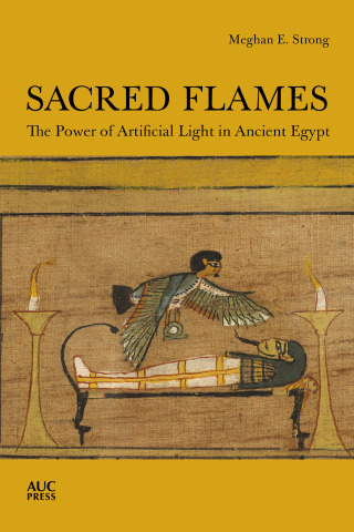 Titelbild: Sacred Flames 9781649030009
