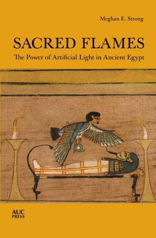 Titelbild: Sacred Flames 9781649030009