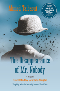 Cover image: The Disappearance of Mr. Nobody 9781649032140