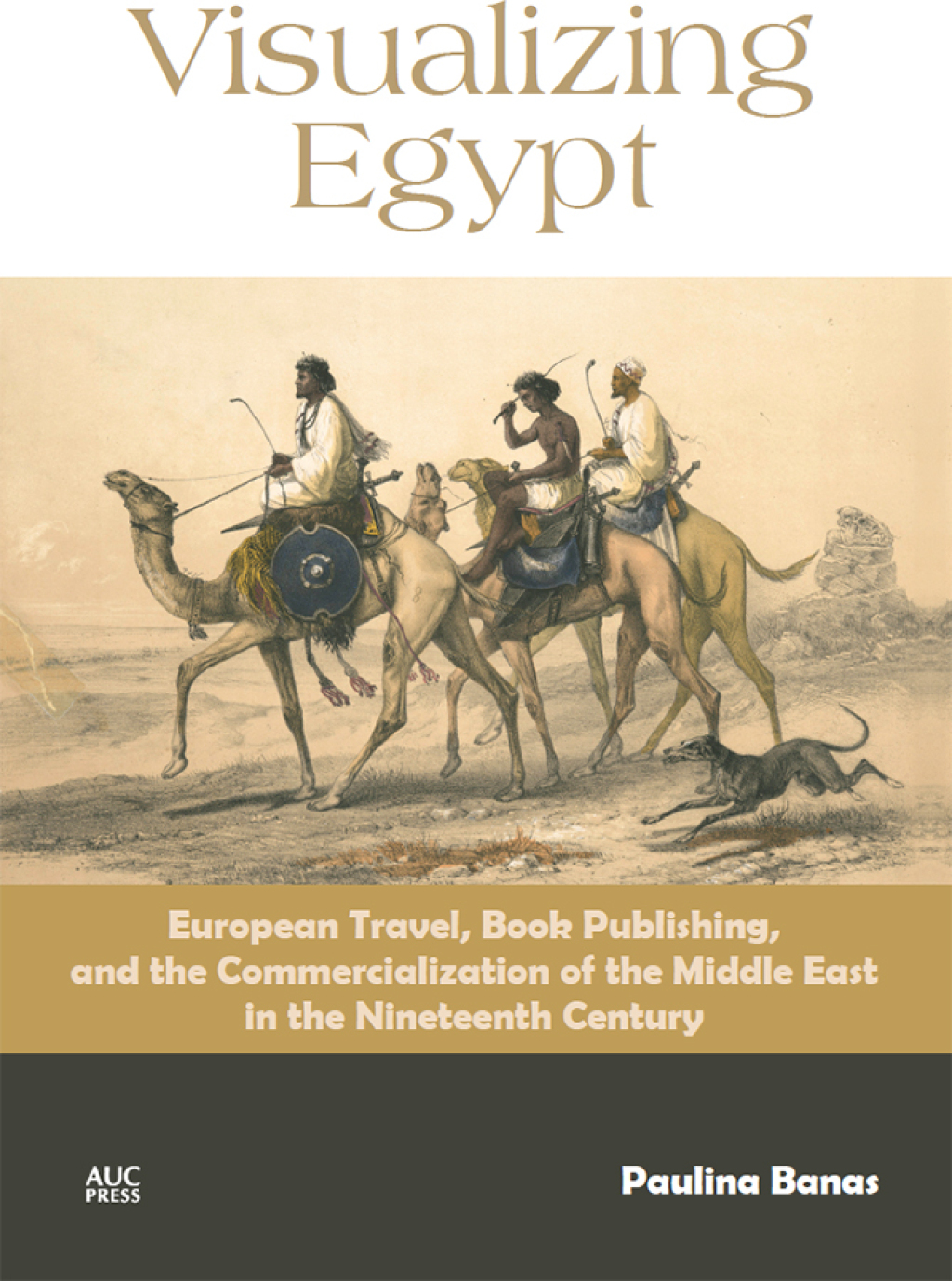 Visualizing Egypt (eBook)