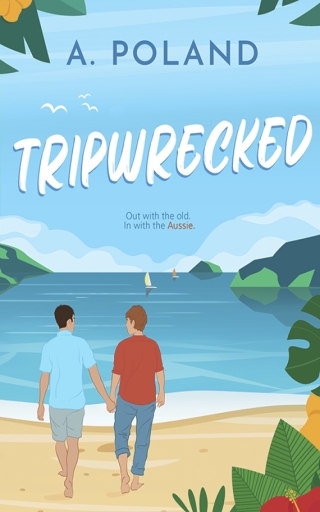 Cover image: Tripwrecked 9781649373854