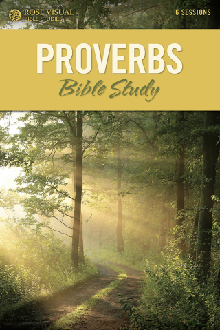 Cover image: Proverbs Bible Study 9781628628609