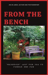 Cover image: From The Bench 9781649690951