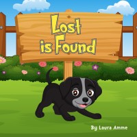 Imagen de portada: Lost is Found 9781649693990