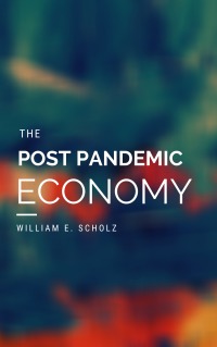 Omslagafbeelding: The Post Pandemic Economy 9781649693594