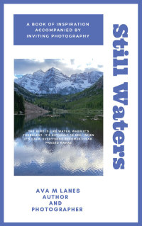 Cover image: Still Waters 9781649696441