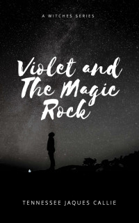 صورة الغلاف: Violet and the Magic Rock 9781649699572