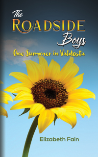 Cover image: The Roadside Boys 9781649791481