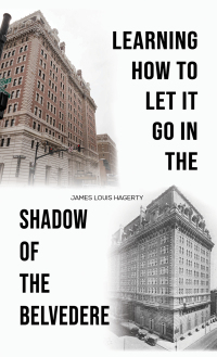 Omslagafbeelding: Learning How to Let It Go in the Shadow of the Belvedere 9781649799029