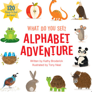 Titelbild: What Do You See? Alphabet 1st edition 9781649960191