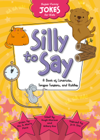Imagen de portada: Silly To Say 1st edition 9781649961983