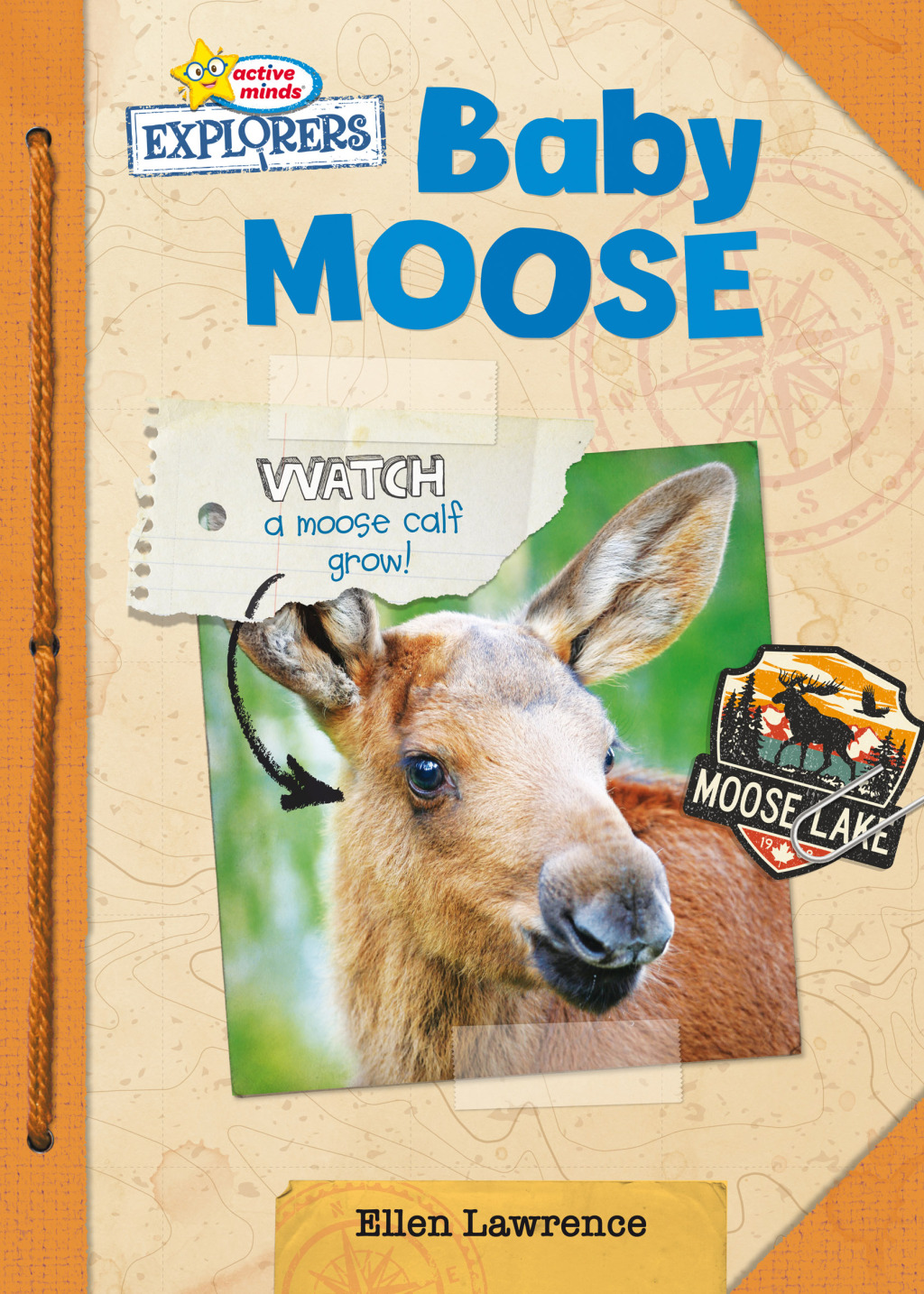 Baby Moose 1st Edition