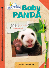Titelbild: Baby Panda 1st edition 9781649962195