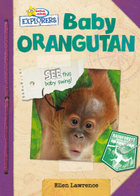 Omslagafbeelding: Baby Orangutan 1st edition 9781649962225