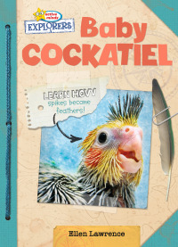 Immagine di copertina: Baby Cockatiel 1st edition 9781649962232