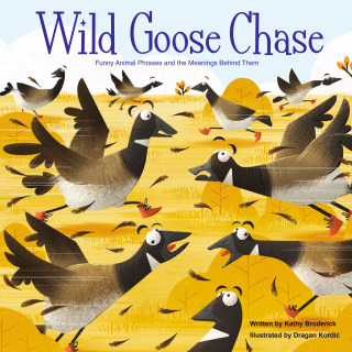 Imagen de portada: Wild Goose Chase 1st edition 9781649961594