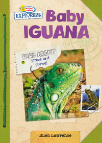 Imagen de portada: Baby Iguana 1st edition 9781649962201