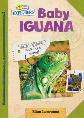 Cover image: Baby Iguana 1st edition 9781649962201