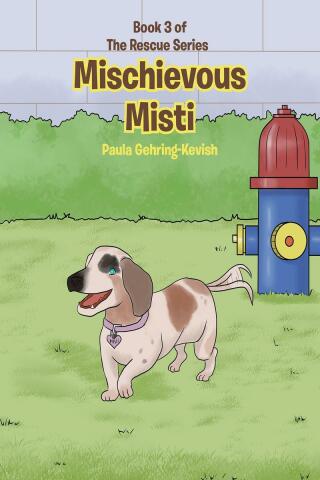 Cover image: Mischievous Misti 9781662463228