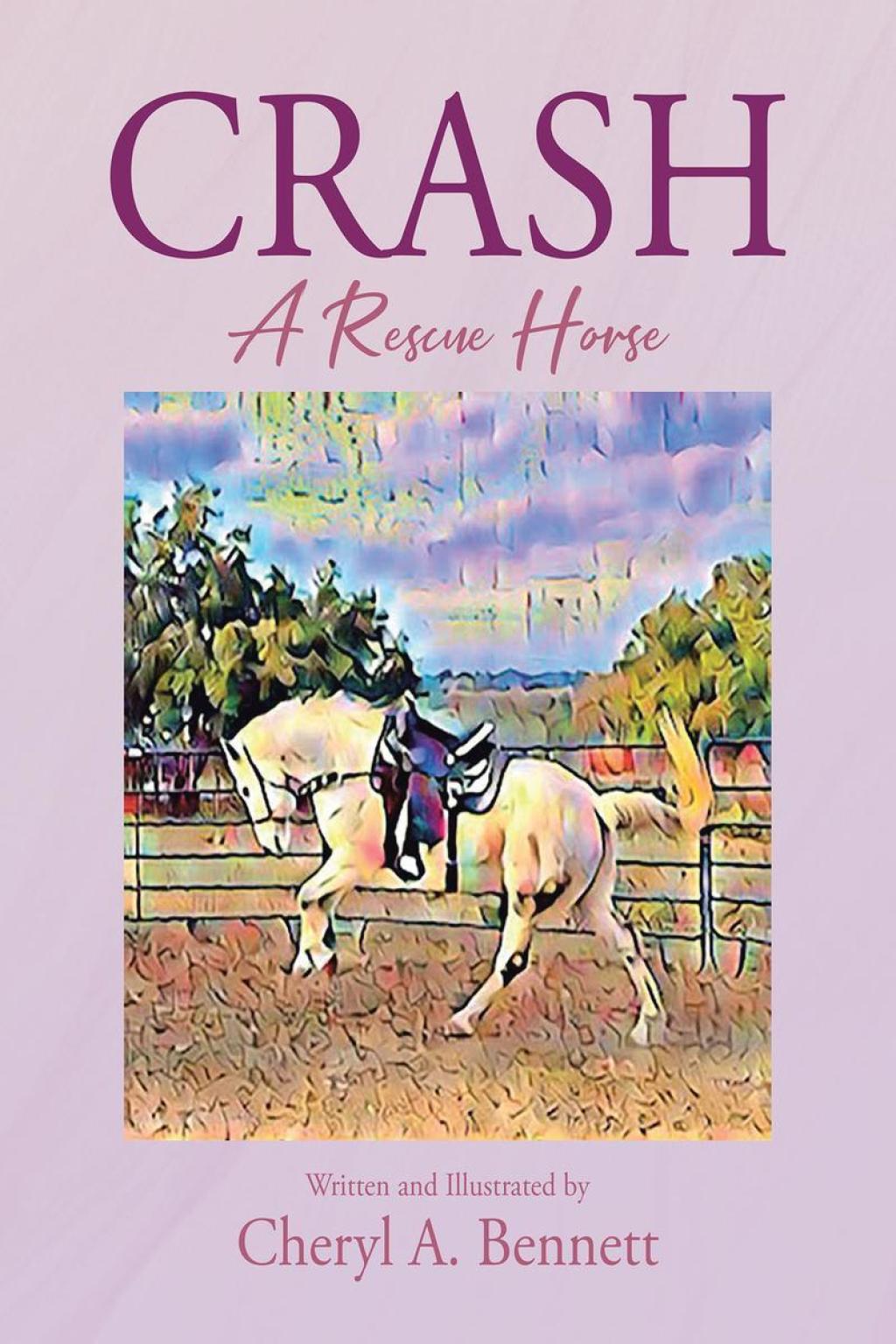 Crash A Rescue Horse