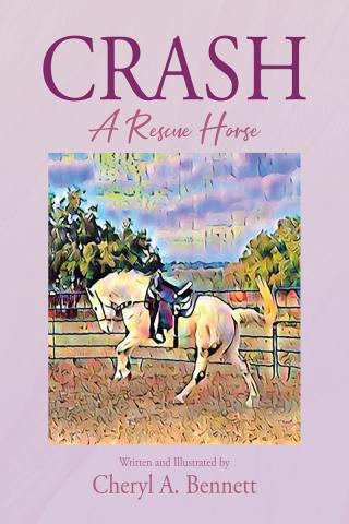 Cover image: Crash 9781662463747