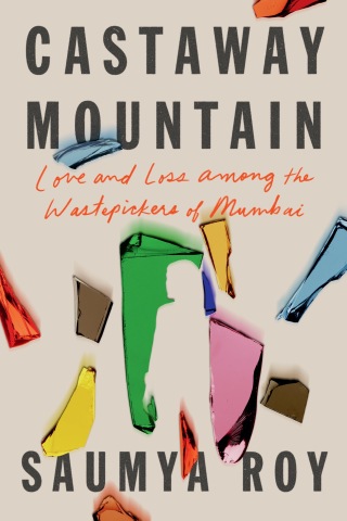 Cover image: Castaway Mountain 9781662600951