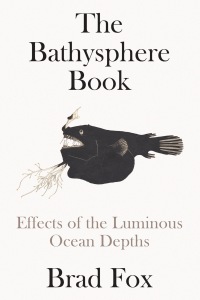 Cover image: The Bathysphere Book 9781662601903
