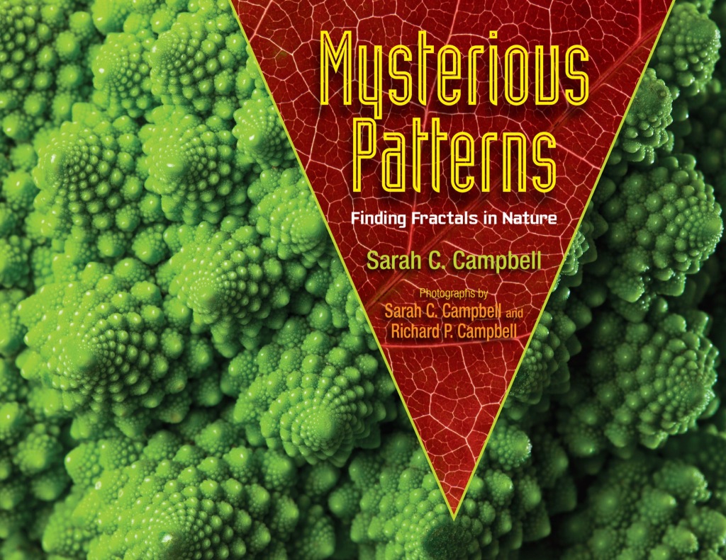 Mysterious Patterns Finding Fractals in Nature