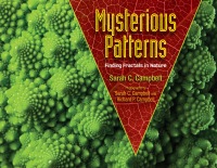 Cover image: Mysterious Patterns 9781620916278