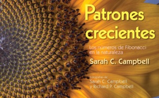 Cover image: Patrones Crecientes (Growing Patterns) 9781662620751