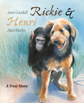 Cover image: Rickie & Henri 9789888341351