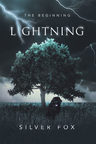 Cover image: Lightning 9781663200686