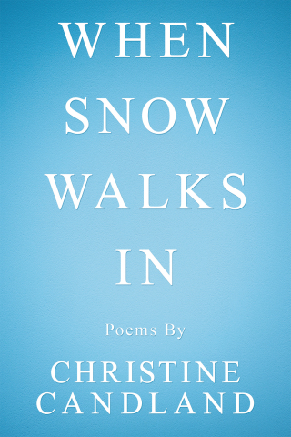 Imagen de portada: When Snow Walks In 9781663201744