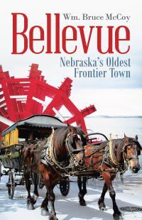 Cover image: Bellevue 9781663202307