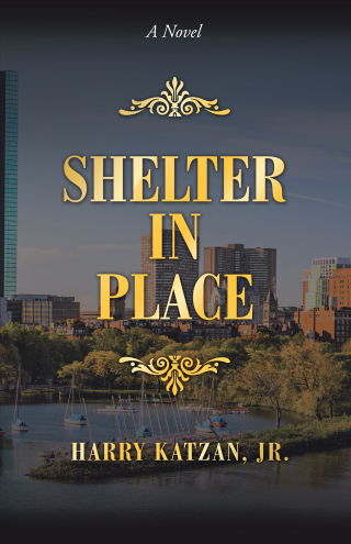 Cover image: Shelter in Place 9781663202598