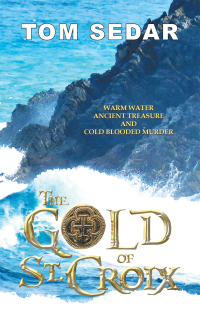 Cover image: The Gold of St. Croix 9781663202697