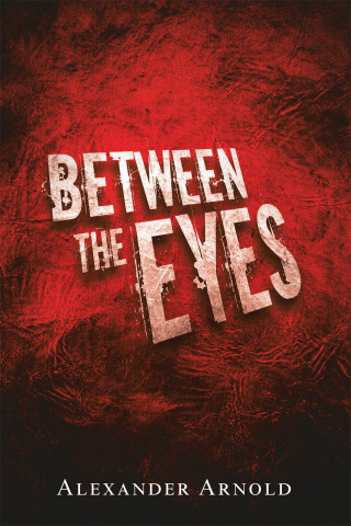 Imagen de portada: Between the Eyes 9781663204752