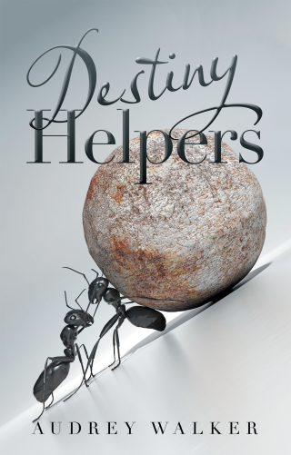 Cover image: Destiny Helpers 9781663205407