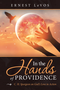 Imagen de portada: In the Hands of Providence 9781532099366