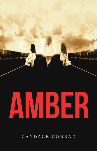 Imagen de portada: Amber 9781663205797