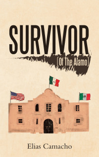 Cover image: Survivor 9781663205841