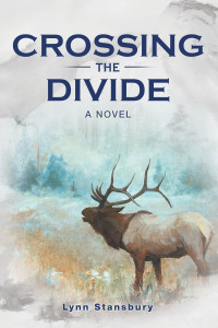 Cover image: Crossing the Divide 9781663206640