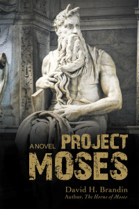 Titelbild: Project Moses 9781663207005