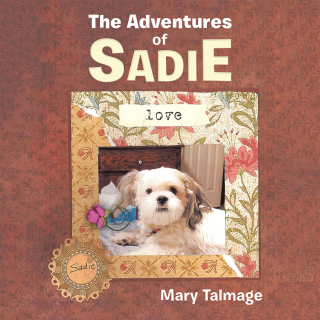 Cover image: The Adventures of Sadie 9781663208262